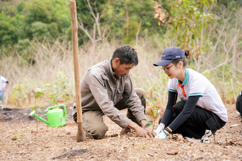 Các TNV ABBANK cùng người dân xã Thông Thụ tham gia trồng cây quế giống – bước khởi đầu cho sinh kế bền vững tại địa phương