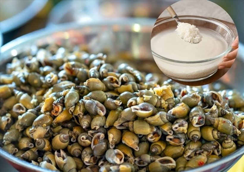 Ngâm ốc đúng cách giúp ốc nhả sạch bùn đất, hết tanh, nấu lên thơm ngon và ăn yên tâm hơn.
