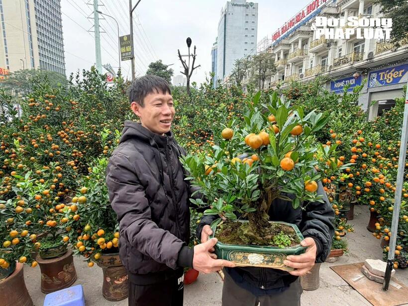 Anh N.V. Lân, người bán quất tại khu vực Vạn Phúc (Hà Nội)