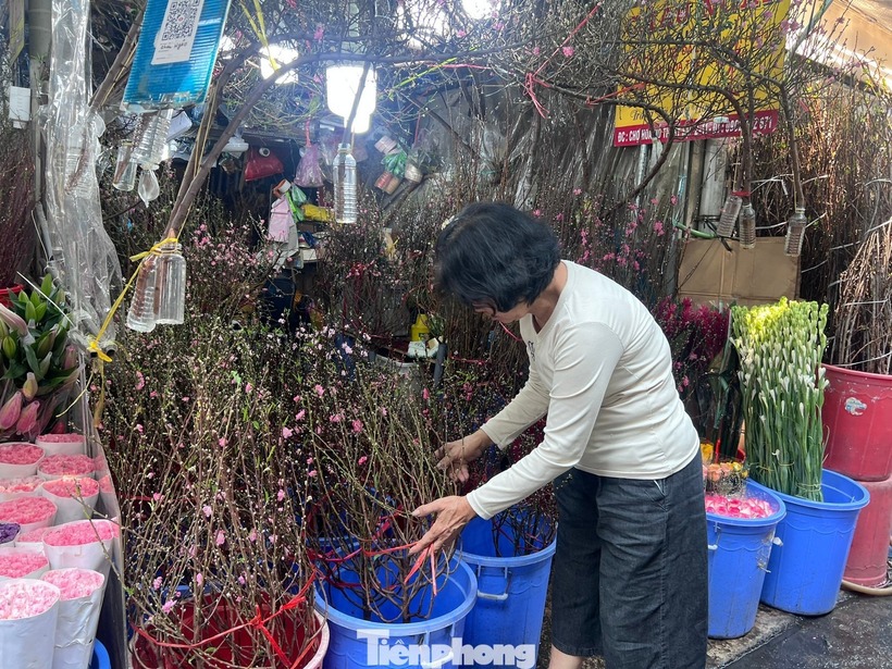 Tại chợ hoa Hồ Thị Kỷ, không khí mua bán đã nhộn nhịp từ giữa tháng 1. Nhiều sạp bày kín tuyết mai trắng muốt, xen lẫn các gốc đào thế, đào bonsai cỡ nhỏ. Theo các tiểu thương, nền nhiệt giảm nhẹ, chênh lệch nhiệt độ ngày đêm rõ giúp cây phân hóa mầm hoa nhanh, nụ lên đều và ít rụng.