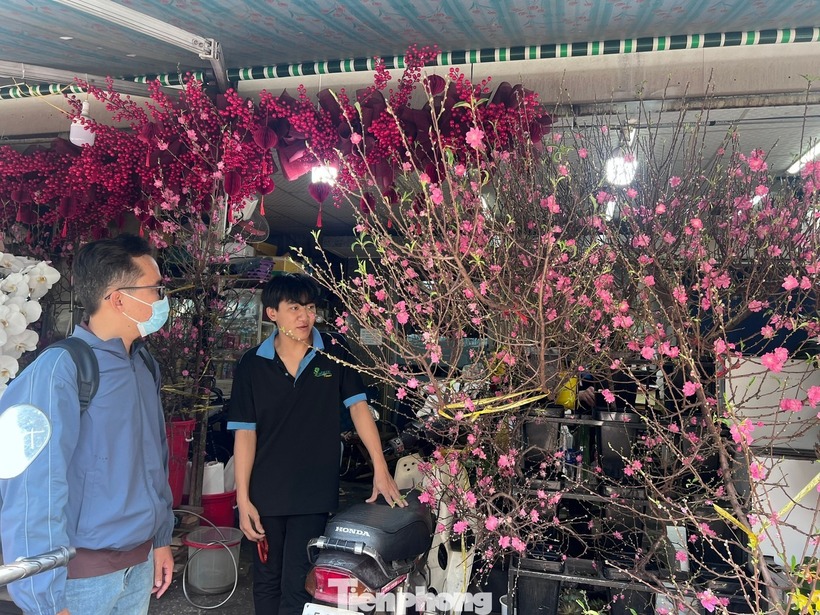 Theo Dân Việt, &nbsp;nhiều người kinh doanh hoa cho biết năm nay, hoa đào các tỉnh phía Bắc về sớm hơn mọi năm. Thời điểm này là bắt đầu mùa cao điểm bán chạy hoa đào, vì người chuộng đào thường mua sớm hơn để chơi xuyên Tết.