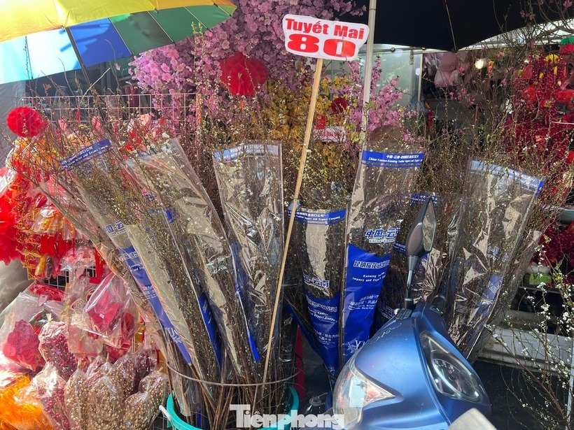 Theo tiểu thương, giá đào mini năm nay "mềm" hơn so với mọi năm ngay từ đầu mùa. Dù trước đó nhiều địa phương trồng đào ở miền Bắc bị ảnh hưởng bởi mưa bão nhưng đào vẫn ra hoa đúng thời điểm.