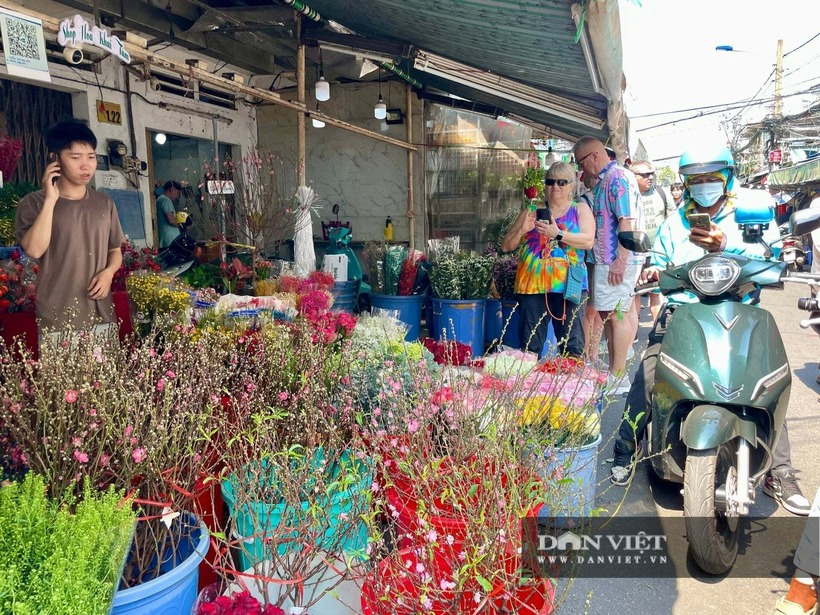 Nhiều khách đến chợ hoa Tết sớm để chọn được những cành hoa đẹp nhất