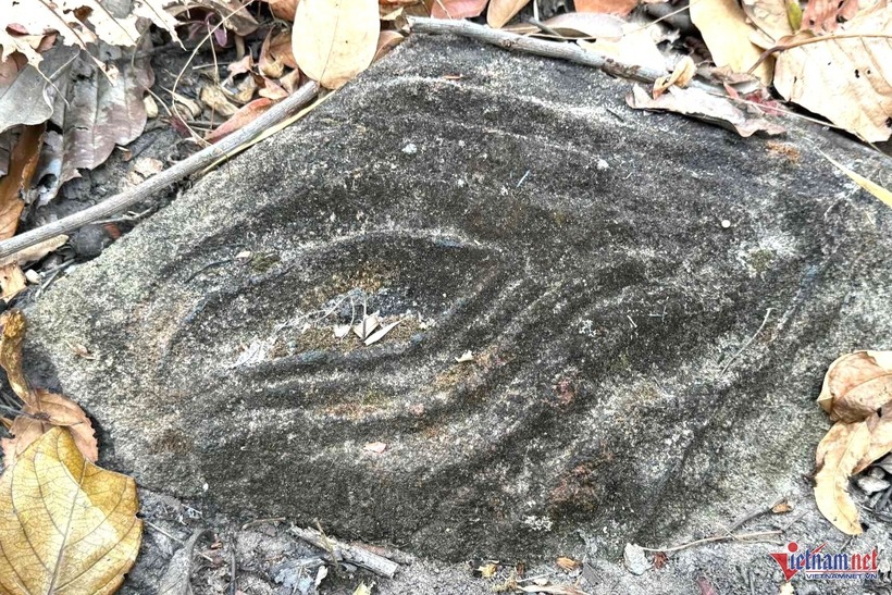 Những viên đá mang họa tiết này nằm rải rác trên đỉnh một quả đồi thuộc Vườn quốc gia Yok Đôn, trải rộng trên diện tích khoảng 200m2.