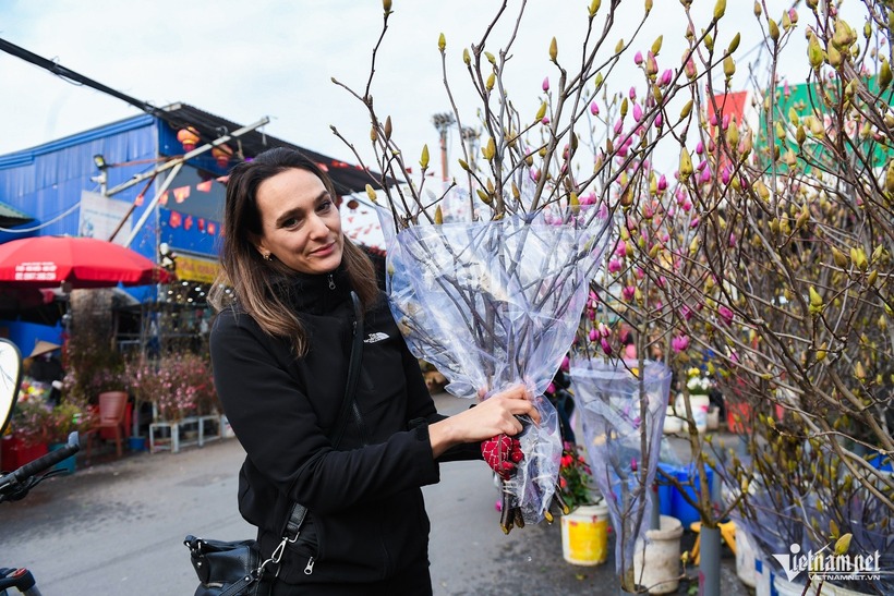 Theo VTC News, Trên thị trường, giá hoa mộc lan khá đa dạng. Các chậu mộc lan phổ thông, ghép từ những cành nhỏ, có giá dao động từ 120 - 500 nghìn đồng. Ở phân khúc cao hơn, những cành mộc lan to, nhiều nụ, dáng đẹp có thể lên tới 2 - 5 triệu đồng/chậu. Đặc biệt, mộc lan cổ thụ trồng chậu hoặc các giống nhập khẩu từ Nhật Bản, châu Âu có giá hàng chục triệu đồng, trở thành món “đồ chơi” xa xỉ trong dịp Tết.