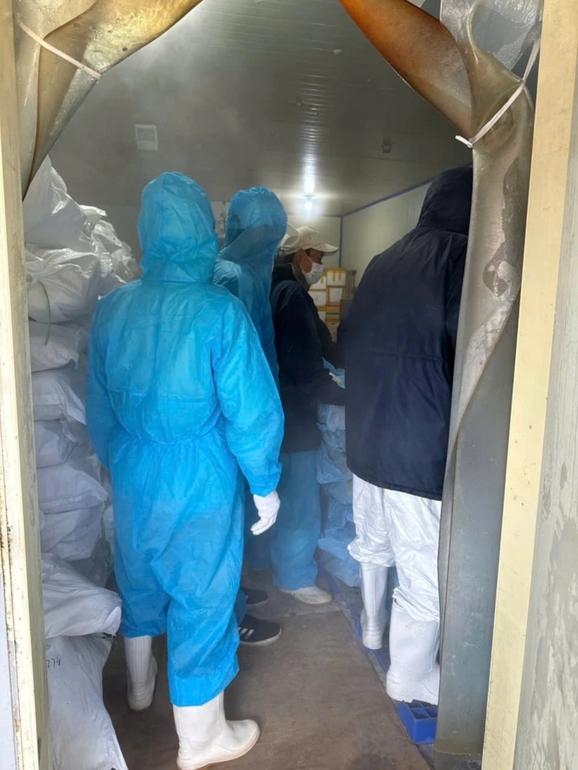 Hơn 130 tấn thịt lợn nhiễm dịch tả châu Phi từng được được phát hiện tại Công ty đồ hộp Hạ Long