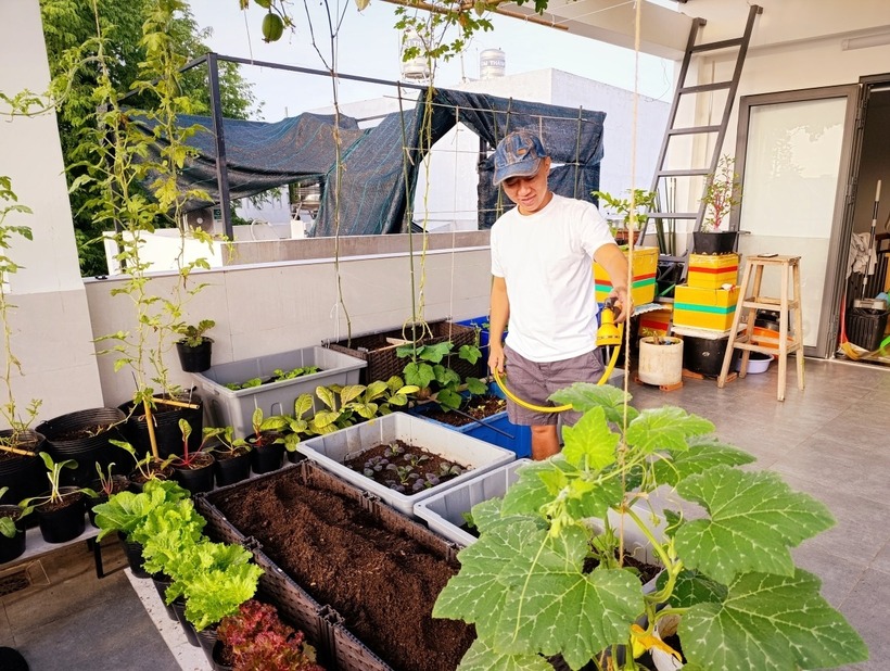 Anh Phúc bắt đầu bén duyên với việc trồng rau sạch từ 11 năm trước.