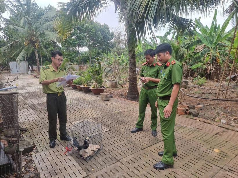 Con chim quý được bàn giao cho cơ quan chức năng. Ảnh: Công an Đồng Nai