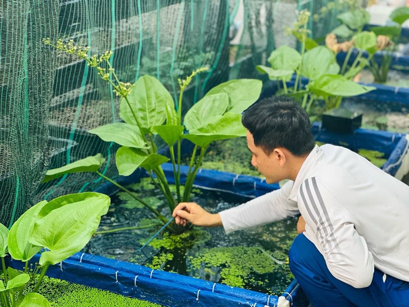 Khu vực nuôi cá cảnh của anh Tiến.