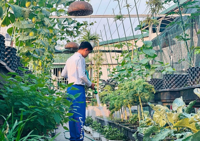 Anh Tiến lên tưới nước cho vườn vào sáng và chiều hàng ngày.