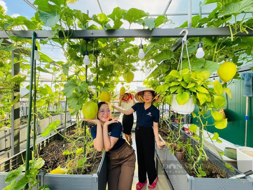 Khu vườn sân thượng trồng la liệt rau, củ, quả ngon của gia đình chị là điểm chụp ảnh, quay phim của mọi người khi đến thăm gia đình chị Dương Thị Tưởng