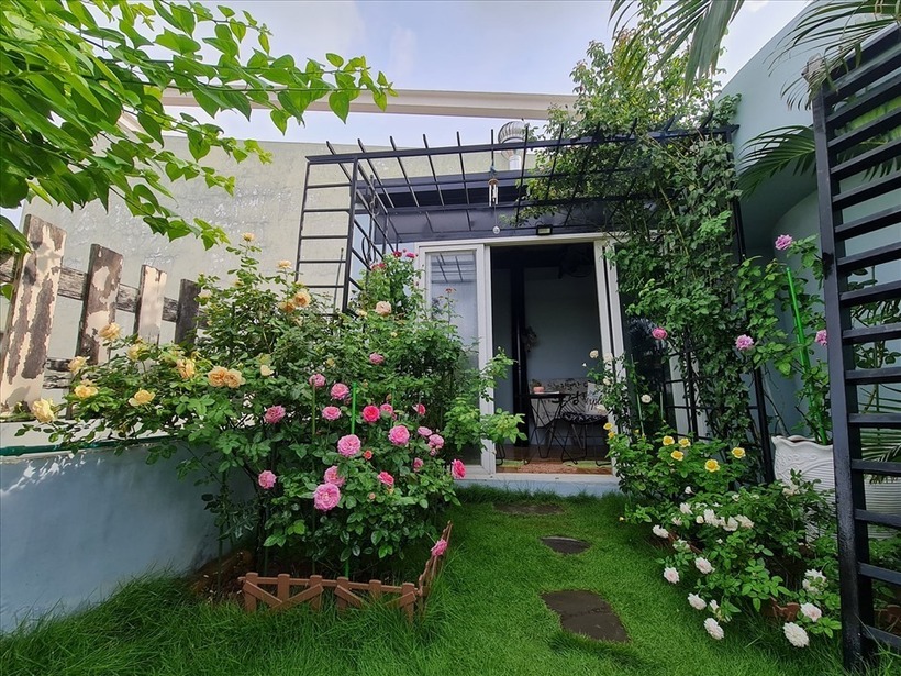 Sau 8 năm gắn bó với công việc làm vườn, chị Nga thừa nhận bản thân ngày càng trở nên "nghiện" cây cối và luôn muốn mang thêm nhiều giống mới về gieo trồng.