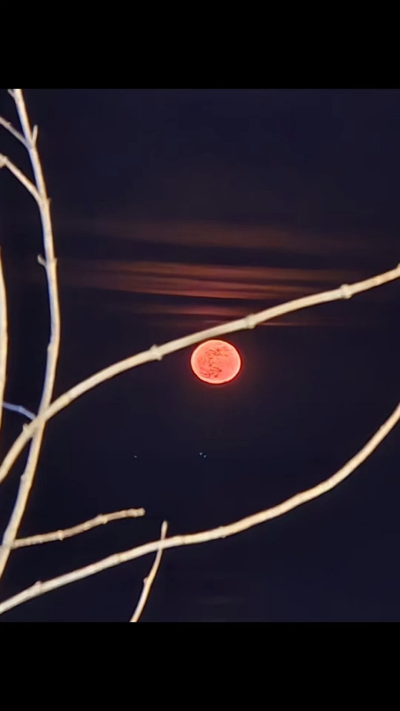 Bài đăng về “trăng máu” của&nbsp; Jung Eun Woo