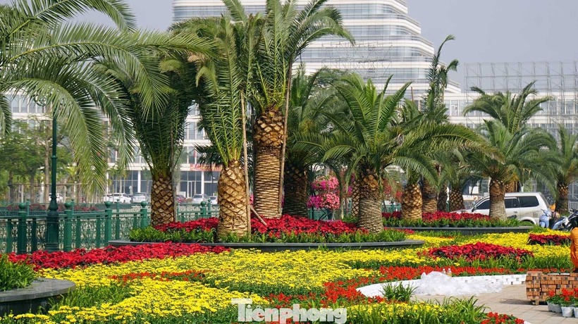 Việc đầu tư bài bản vào trang trí linh vật và đường hoa tại khu vực Trung tâm Chính trị - Hành chính mới khẳng định định hướng của thành phố trong việc xây dựng nơi đây thành không gian văn hóa, cảnh quan tiêu biểu. Trong tiến trình đô thị hóa, những điểm kết nối cộng đồng này đóng vai trò quan trọng trong việc nâng cao đời sống tinh thần của nhân dân.