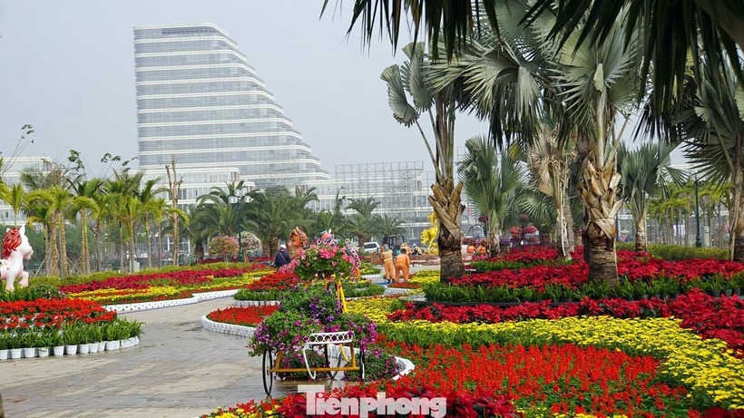 Không chỉ tập trung tại Bắc sông Cấm, sắc xuân còn lan tỏa khắp các nẻo đường với gần 100.000 chậu hoa và cây cảnh. Theo UBND TP. Hải Phòng, thành phố đã triển khai thêm 29 điểm trang trí tại các công viên, vườn hoa và các nút giao thông trọng điểm, hình thành nên những "đường hoa" rực rỡ kéo dài.