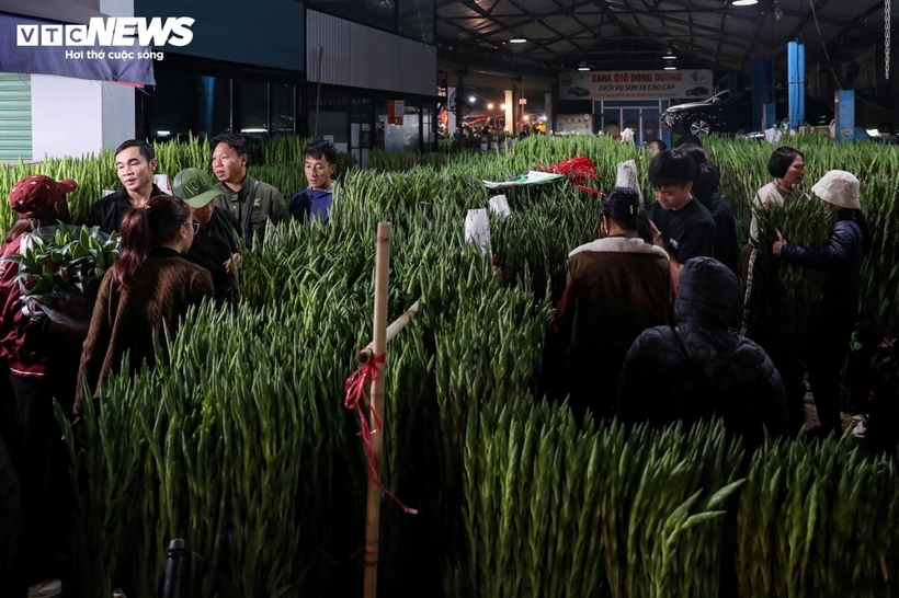Năm nay, thị trường xuất hiện thêm một số giống hoa mới, lần đầu được đưa từ Đà Lạt ra Hà Nội bằng đường hàng không, thu hút sự quan tâm của người tiêu dùng. Dù vậy, các loại hoa truyền thống như ly, lay ơn, đào, mộc lan… vẫn chiếm ưu thế và được săn đón nhiều nhất.
