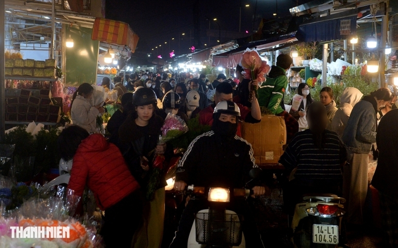 Trong khi đó, hoa hồng và hoa cúc ghi nhận mức tăng nhẹ hơn.