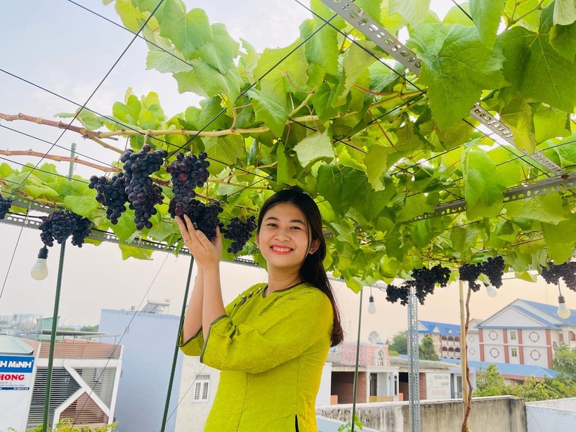 Trên sân thượng tầng 3 của gia đình chị Ngọc Chi, một khu vườn rộng 80m2 hiện ra như một ốc đảo xanh mướt giữa lòng phố thị.