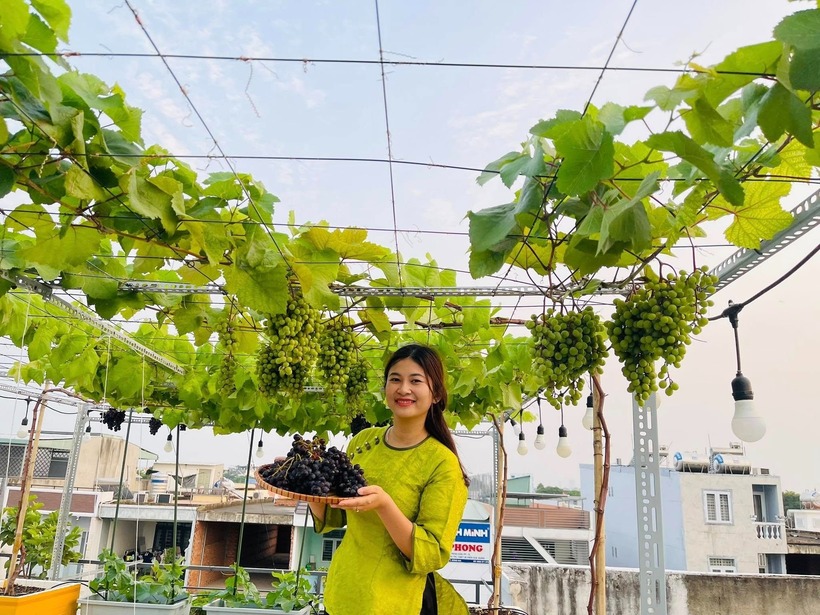 Với chị Ngọc Chi, làm vườn tuy có nhiều việc lặt vặt và đòi hỏi sự tỉ mỉ nhưng lại mang đến những trải nghiệm vô cùng thú vị. Khu vườn không chỉ là nơi giải tỏa áp lực mà còn giúp chị tìm thấy niềm hạnh phúc giản đơn khi được tận tay chăm sóc và chứng kiến từng mầm xanh lớn lên mỗi ngày bằng tất cả tình yêu thương.