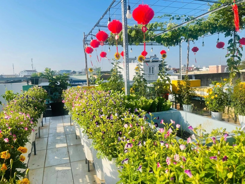 Bên cạnh đó, các loại rau gia vị và những khóm hoa hướng dương, cúc, tô liên cũng được chị trồng xen kẽ để tạo điểm nhấn sinh động. Nhờ sự đa dạng này, gia đình chị gần như không còn phải đi chợ mua rau, thậm chí lượng rau dư thừa còn đủ để chia sẻ cho hàng xóm và bạn bè.