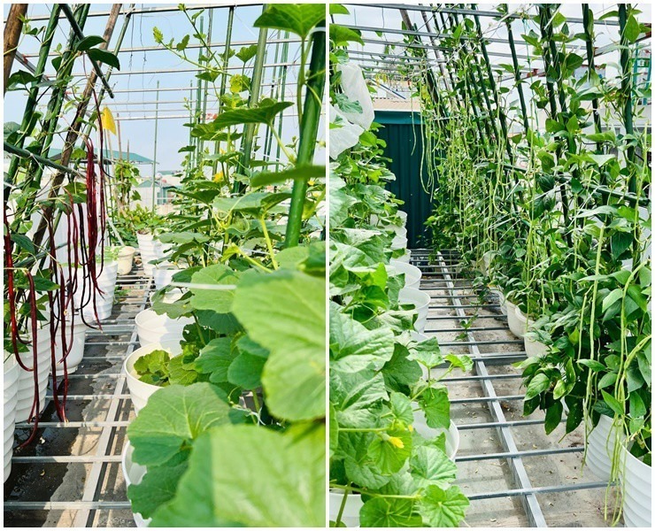 Chị Phương cho biết chị đã làm hơn chục năm nay.