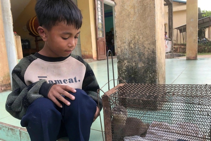Em Hồ Văn Xiếc, học sinh lớp 4C, Trường Tiểu học Tà Long, phát hiện một cá thể rái cá bên bờ suối trong tình trạng sức khỏe yếu. Ảnh: Báo Dân trí