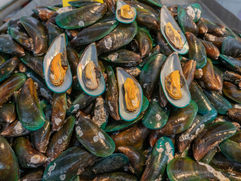 Sản phẩm chứa dầu vẹm xanh giúp cải thiện triệu chứng đau cổ vai gáy do thoái hóa đốt sống hiệu quả