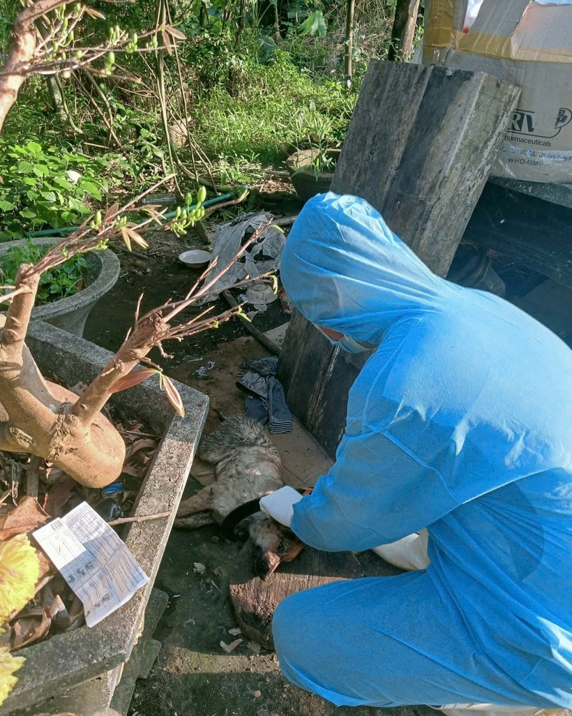 Ngành y tế kiểm tra chó dại cắn người dân, đồng thời sáu người bị chó dại cắn, địa phương khẩn trương khoanh vùng. Ảnh: Báo Công lý.