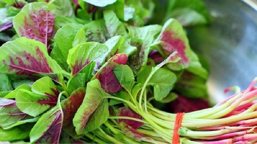 Rau dền chứa nhiều protein và chất xơ, có tác dụng hỗ trợ giảm cân hiệu quả.