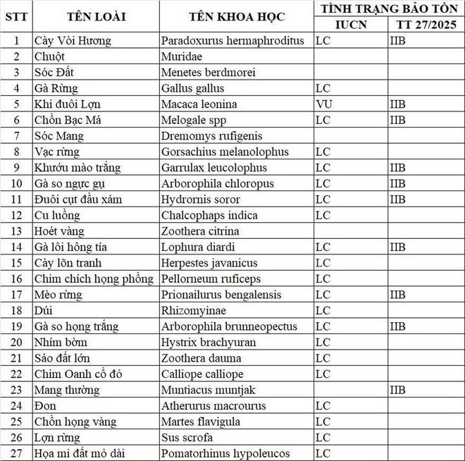Danh sách các loài động vật ghi nhận được ở Khu bảo vệ cảnh quan di tích lịch sử văn hóa Mỹ Sơn. Ảnh: Vietnamplus