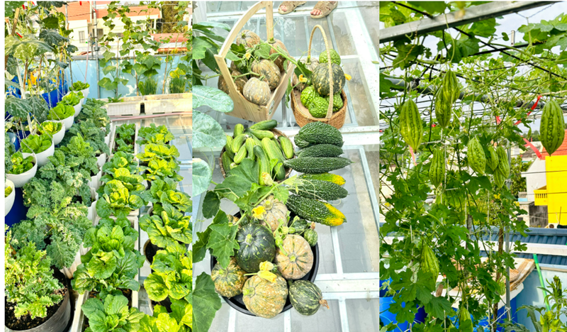 Nhớ lại những ngày đầu, chị Liên chia sẻ công đoạn vất vả nhất chính là việc vận chuyển đất, phân bón và vật tư lên tầng cao. Quá trình phơi trộn, ủ đất cho mỗi vụ mùa mới cũng tiêu tốn không ít thời gian và công sức. Tuy nhiên, bằng niềm đam mê và khát khao có nguồn rau sạch cho gia đình, chị đã kiên trì thực hiện mỗi ngày một ít để giữ sức.