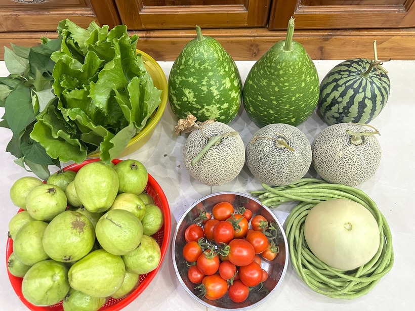 Dù thừa nhận việc trồng rau trên sân thượng tốn kém và vất vả hơn so với mua rau ngoài chợ, nhưng chị Liên cảm thấy hoàn toàn xứng đáng khi gia đình luôn có nguồn thực phẩm an tâm về sức khỏe.