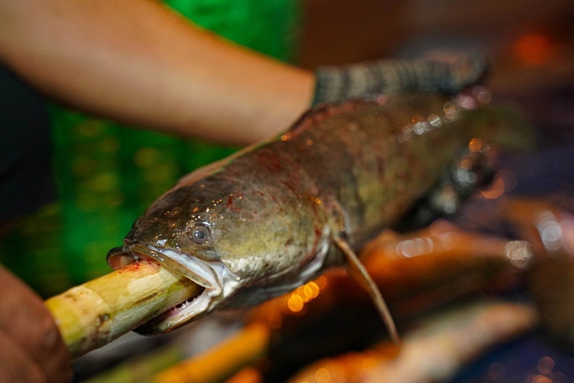 Theo PLO, khoảng 22h ngày 25/2 (mùng 9 tháng Giêng), không khí tại đây trở nên nhộn nhịp hơn bao giờ hết. Hàng loạt tiệm cá lóc nướng đỏ lửa, khói tỏa nghi ngút, nhân viên liên tục trở mặt cá.