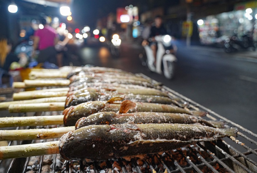 Cá lóc cung cấp vào ngày vía Thần Tài được các tiểu thương lựa chọn nhập hàng từ chợ đầu mối (chủ yếu là chợ đầu mối Bình Điền, TP.HCM). Cá tươi sống để đảm bảo chất lượng, độ ngon cả khi nướng lẫn đến tay người mua.