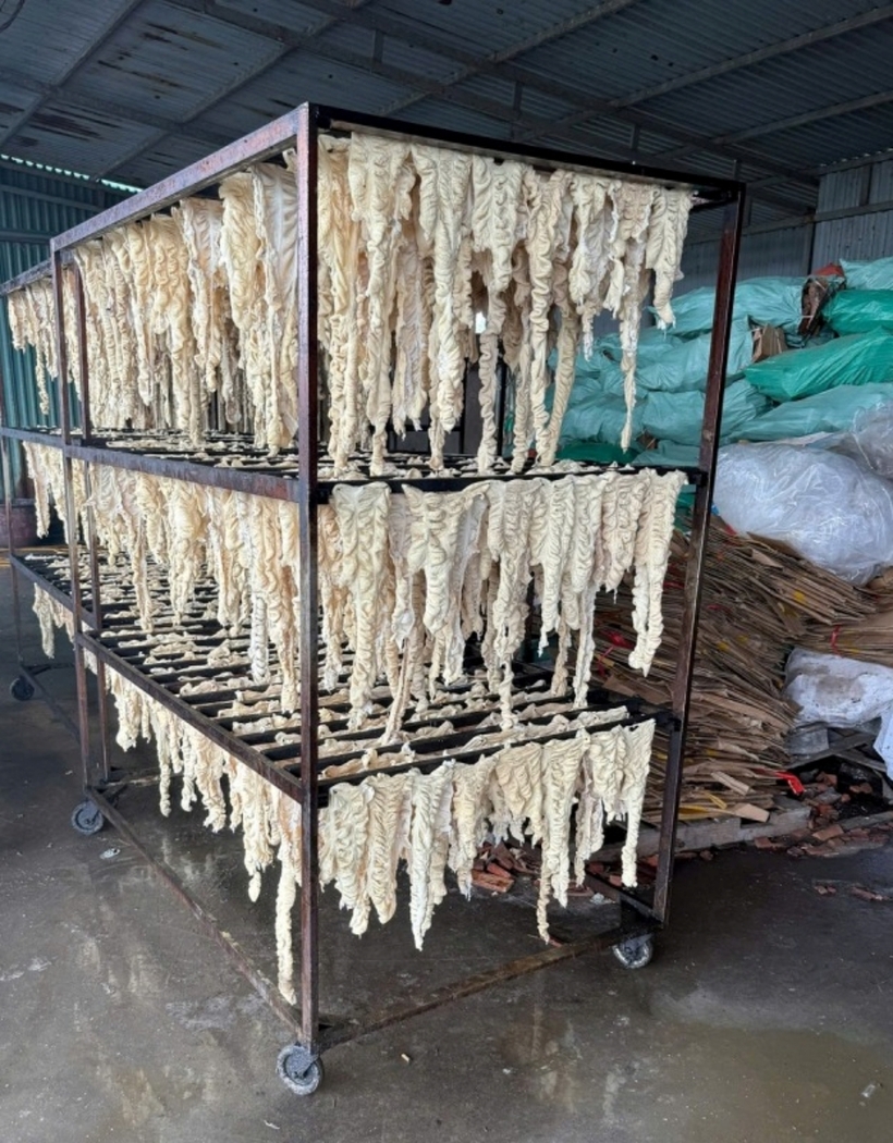 Lòng lợn được tẩy trắng sau đó sấy khô. Ảnh: Công an Nhân dân