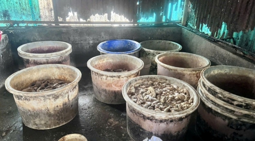 Nguyên liệu là lòng lợn, dạ dày lợn, chân gà trước khi chế biến chứa trong các xô chậu đầy cáu bẩn. Ảnh: Công an Nhân dân