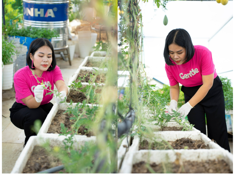 Khu vườn của chị Thanh là một hệ sinh thái đa dạng, nơi chị ưu tiên canh tác rau củ theo mùa như nho, cà chua, dâu tây, cải kale và các loại cây gia vị. Đặc biệt, từ năm 2023, chị bắt đầu thử nghiệm trồng dưa hấu Thái Lan với bốn chủng loại khác nhau từ vỏ vàng ruột đỏ đến vỏ xanh ruột cam.