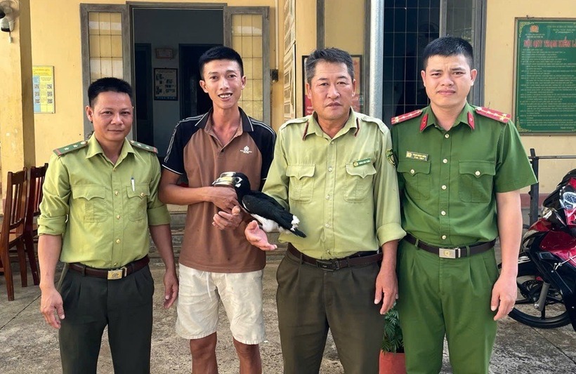 Công an xã phối hợp với Trạm Kiểm lâm Phước Sơn tiếp nhận cá thể động vật hoang dã. Ảnh: Cổng thông tin Công an tỉnh Lâm Đồng