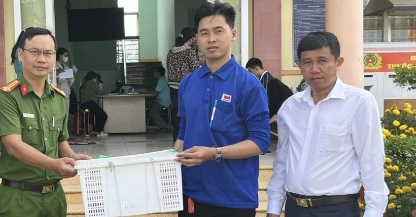 Anh T. bắt cá thể Rồng Đất và mang đến UBND xã Long Cang để giao nộp. (Ảnh: VietnamNet)