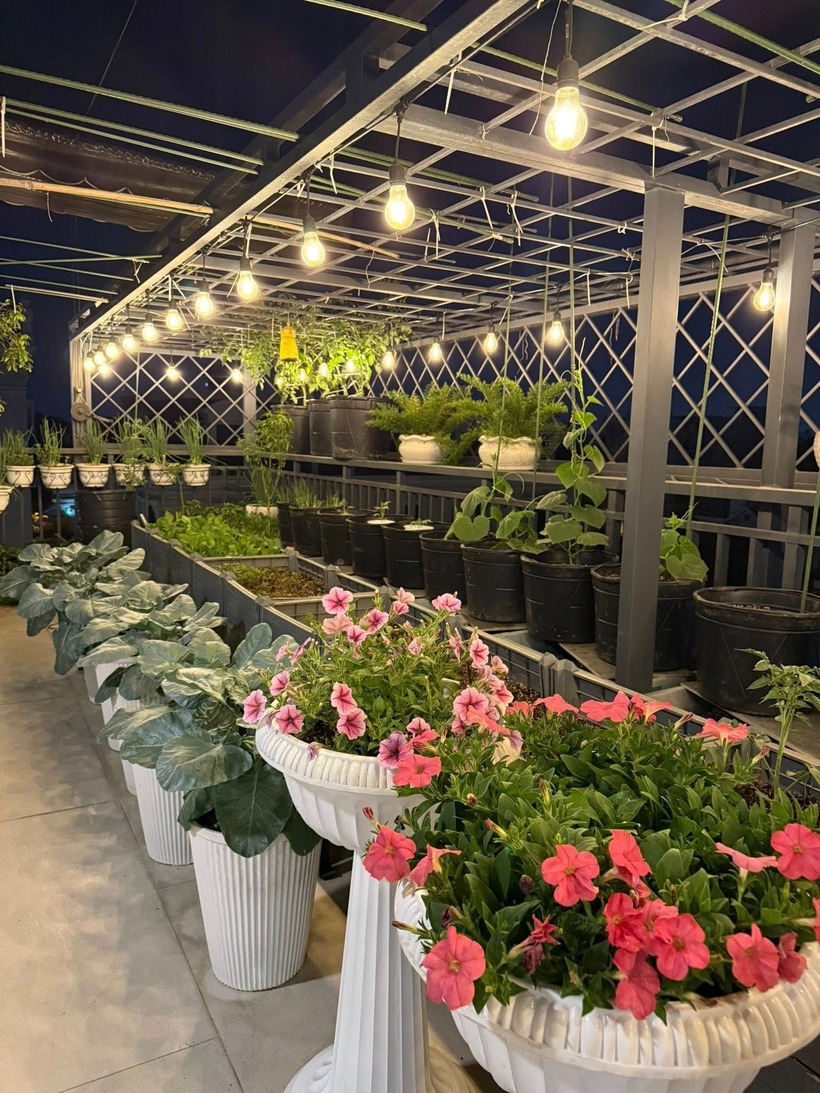 Trong nhịp sống hối hả của đô thị hóa, việc tiếp cận nguồn thực phẩm sạch trở thành nỗi trăn trở của nhiều gia đình hiện đại. Tuy nhiên, chị Bùi Thị Lệ Quyên, người phụ nữ 43 tuổi tại Quảng Ngãi, đã khiến nhiều người không khỏi ngưỡng mộ khi phủ xanh khoảng sân thượng của gia đình thành một khu vườn trù phú, cung cấp rau củ sạch quanh năm.