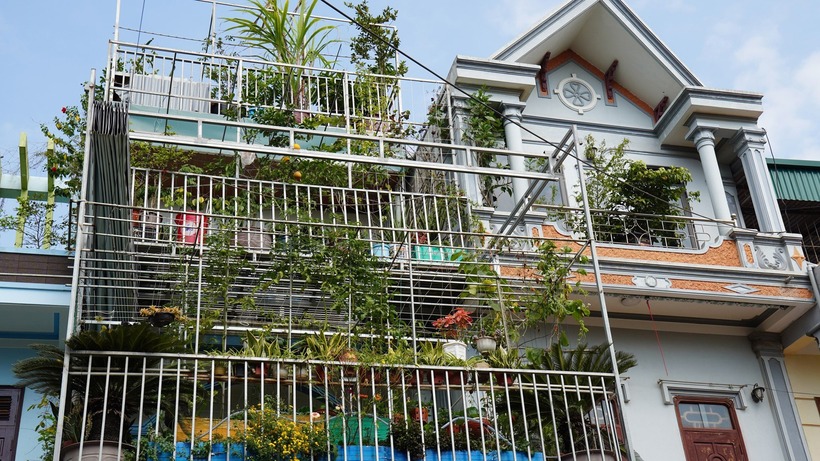 Cách đây khoảng 2 năm, anh Đào Nguyên Ngọc cùng vợ là chị Trần Thùy quyết định làm mới ngôi nhà của gia đình tại tỉnh Thanh Hóa bằng những khu vườn nhỏ mà có võ. Họ tận dụng khoảng trống ở ban công tầng 2, tầng 3 và sân thượng tầng 3 để làm vườn trên cao, vừa chủ động nguồn thực phẩm sạch hằng ngày, vừa tạo dựng không gian sống xanh mát.