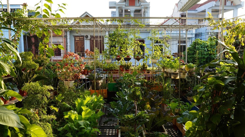 Anh Ngọc chia sẻ rằng bản thân mong muốn có một cuộc sống xanh và sạch hơn giữa đô thị, nơi cả gia đình được gần gũi với thiên nhiên ngay trong chính tổ ấm của mình. Trước khi bắt tay vào làm vườn, toàn bộ khu vực ban công và mái nhà của gia đình anh Ngọc đều lợp mái tôn, gây cảm giác nóng bức và thiếu không gian sinh hoạt.