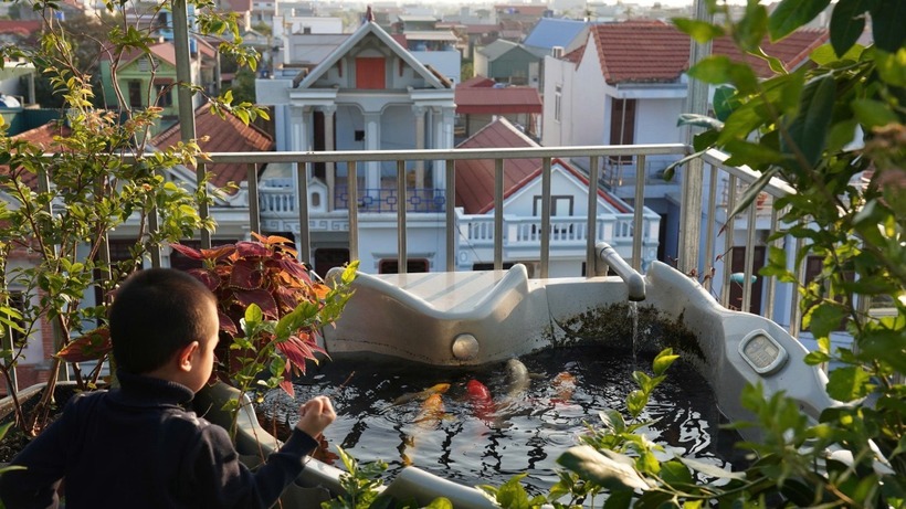 Hiện tại, khu vườn sở hữu hơn 20 giống rau trái đa dạng như cà chua, củ cải, đậu đũa, đậu rồng, mướp đắng, dưa chuột và các loại rau cải. Bên cạnh đó, anh chị còn trồng thêm nhiều loại cây ăn quả như khế, lựu, dâu tây, bưởi, nho thân gỗ cùng các loài hoa rực rỡ như hoa ly, cúc, lồng đèn để tô điểm không gian.