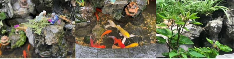 Bên ngoài hiên nhà gỗ, anh thiết kế một hồ cá nhỏ cùng bàn trà dưới mái kính trong suốt. Đây là nơi anh Huy dành thời gian ngồi thiền, nhâm nhi tách trà mỗi sáng trước khi bắt đầu ngày làm việc. Hệ thống khung sắt bao quanh được che chắn khéo léo bởi các tán cây lớn, vừa đảm bảo an toàn vừa giữ được vẻ mềm mại, gần gũi cho tổng thể khu vườn.