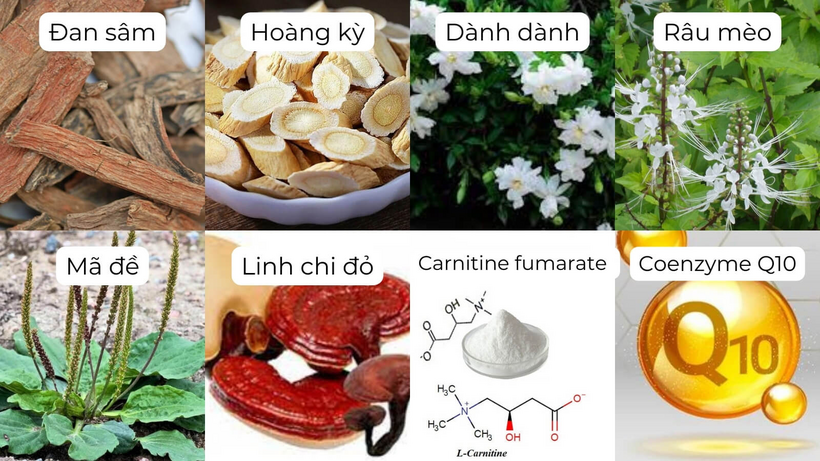 Sử dụng thảo dược cho người suy thận độ 4