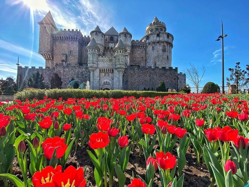 Du khách miền Trung – Tây Nguyên nô nức trẩy hội Bà Nà Hills - 5