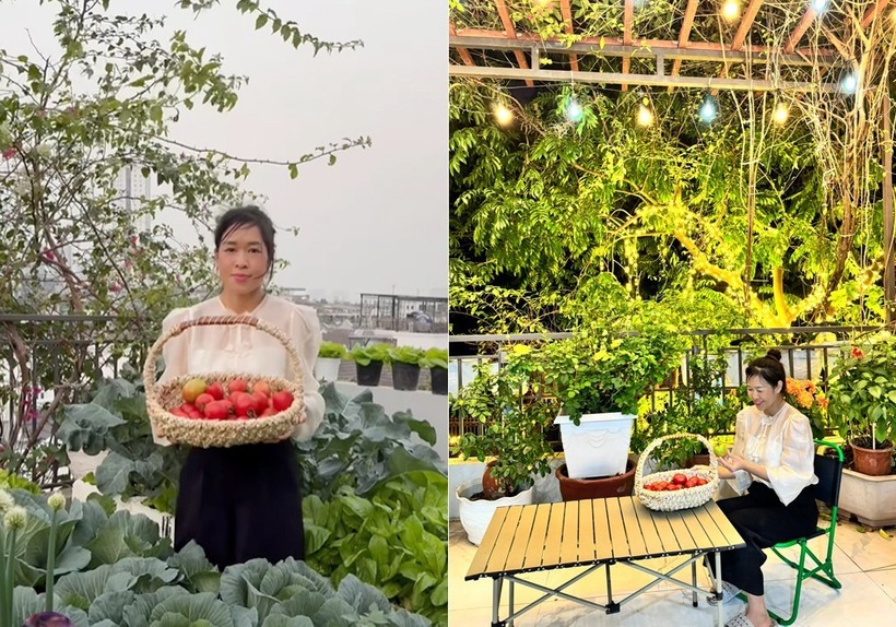 Nhìn ngắm thành quả lao động của mình xanh tốt mỗi ngày, chị Trang luôn cảm thấy tự hào và trân trọng giá trị mà bàn tay con người có thể kiến tạo giữa phố thị đông đúc.