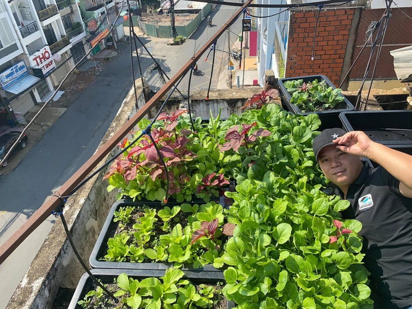 Bắt đầu cải tạo sân thượng từ năm 2021 với mục tiêu chủ động nguồn thực phẩm sạch, ban đầu anh Tâm lựa chọn phương pháp thổ canh truyền thống. Tuy nhiên, nhận thấy việc vận chuyển đất và vật tư lên cao gặp nhiều bất tiện, anh đã quyết định chuyển sang mô hình Aquaponics – một hệ thống tích hợp giữa nuôi thủy sản và trồng thủy canh theo nguyên tắc tuần hoàn tự nhiên.