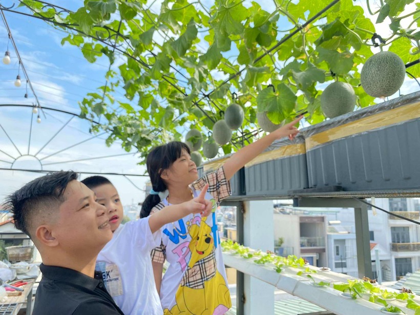 Cơ chế vận hành của khu vườn dựa trên sự tương hỗ lẫn nhau, trong đó phân cá thải ra được vi sinh vật chuyển hóa thành chất dinh dưỡng để nuôi rau, đồng thời nước qua khay rau được lọc sạch trước khi quay trở lại bể cá. Phương pháp này không chỉ giúp cây phát triển tốt mà còn tiết kiệm đáng kể thời gian và công sức chăm sóc.