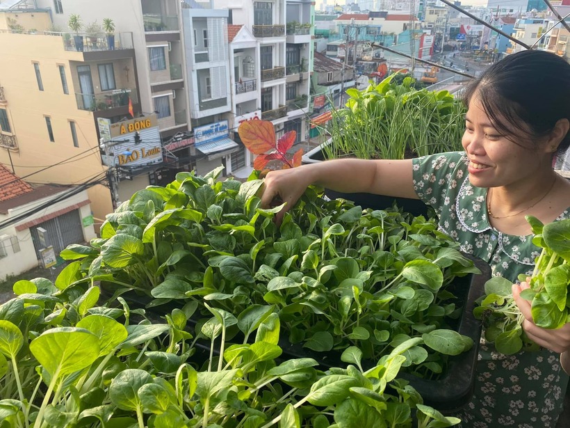 Thành quả sau những ngày miệt mài vun vén là một khu vườn xanh mướt, giúp gia đình anh tiết kiệm được vài triệu đồng chi phí sinh hoạt mỗi tháng nhờ hiếm khi phải đi chợ mua rau quả. Không chỉ dừng lại ở giá trị kinh tế, khu vườn còn làm thay đổi lối sống của gia chủ 40 tuổi, khi anh chọn dành thời gian chăm sóc cây cối cùng vợ con thay vì la cà quán xá.